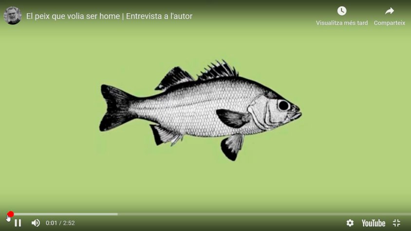 Entradeta del vídeo que Ribera ha penjat a Linkedin explicant de què tracta el seu llibre