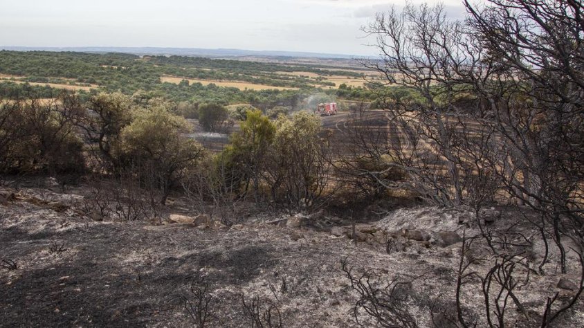 L'incendi de la Donzell va calcinar un bosc d'alzines