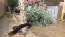 Una tempesta descarrega a Tàrrega 24 litres en tan sols mitja hora