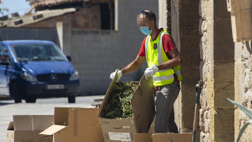 Un policia al treure marihuana ahir al migdia de la casa de la Guàrdia d’Urgell