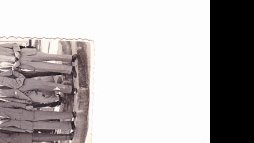 La fotografia de què parla Florensa al seu escrit