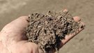 La planta de compostatge de l'Urgell ven més de 3.000 tones de compost durant el 2019