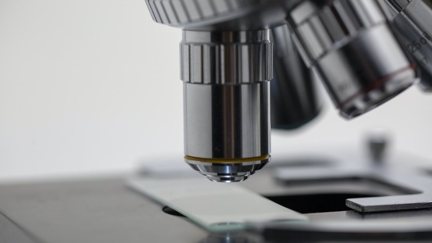 Ciència sí, cientifisme no