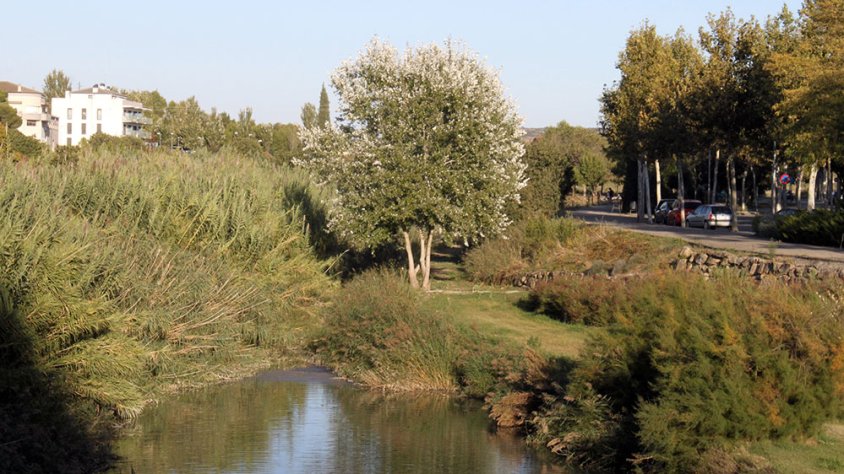 Un dels trams de la llera de l'Ondara a Tàrrega