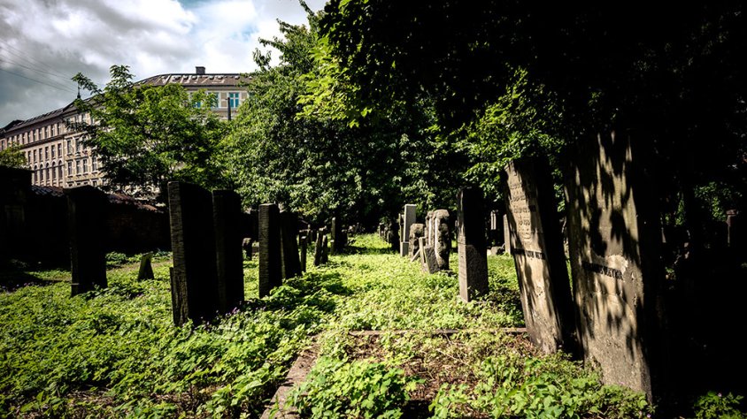 Aquella claror de novembre 