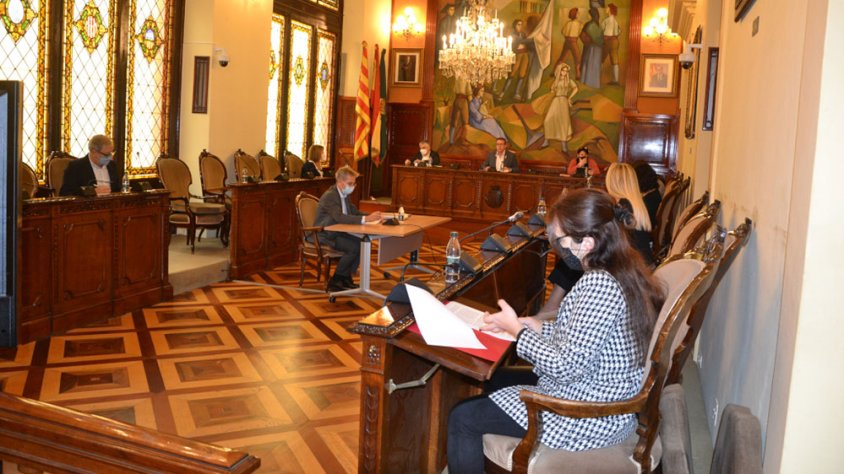 Imatge del ple de l'ens celebrat aquest matí de forma híbrida