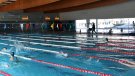 L'Ajuntament de Tàrrega adjudica la millora de la piscina coberta municipal