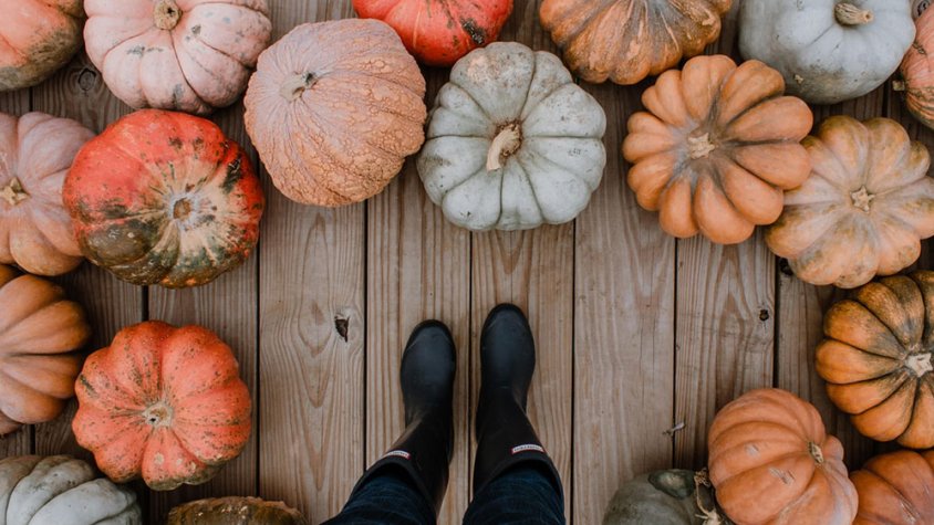 Mirar el món amb ulls d'infant