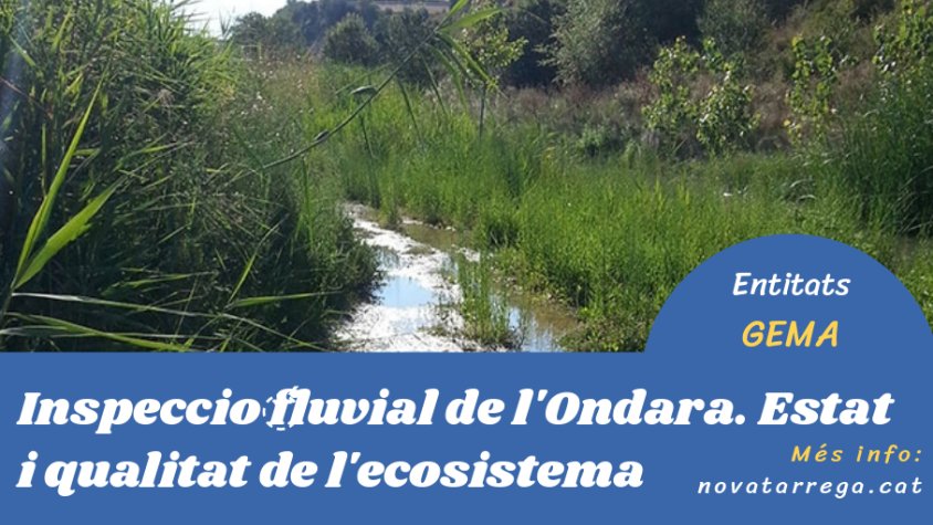 El GEMA explica quin és l'estat de l'Ondara a Tàrrega