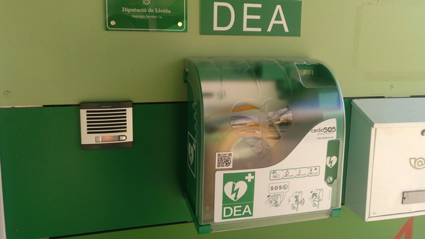 El nou aparell que s'ha instal·lat a l'Escola Maria-Mercè Marçal