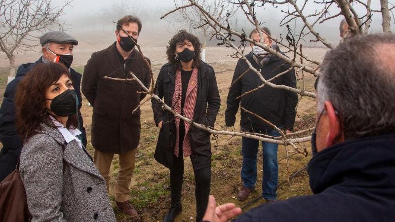 Visita de la consellera a la finca Mas Colom del Grup Borges