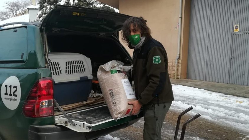 Els Agents Rurals ahir van instal·lar menjadores per als ocells a Tàrrega