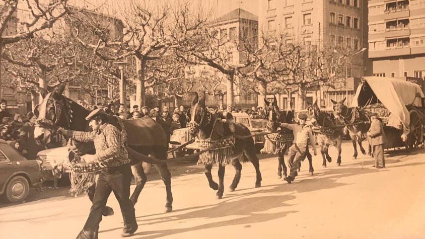 Una de les fotos que M. Alba Coma va compartir a les xarxes
