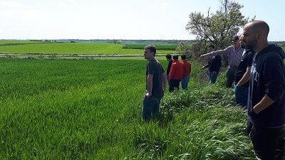 En marxa el Cicle Formatiu de Grau Mitjà de Producció Agropecuària a distància