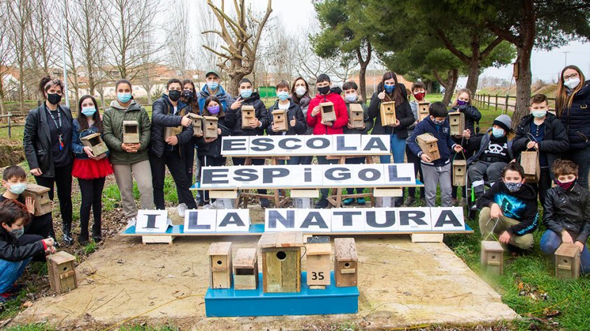Alumnes de l'escola de Tornabous que ahir van instal·lar les caixes niu