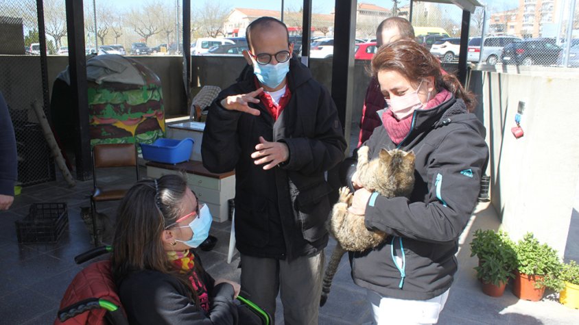 Voluntaris de l'Associació Alba ajuden en les tasques de manteniment