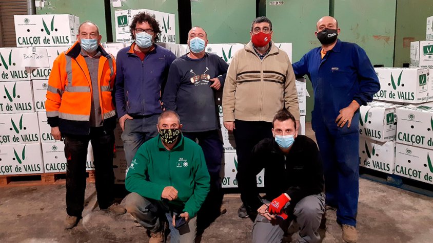Imatge de productors que han lliurat calçots de Valls per a residències de gent gran del Camp de Tarragona i Lleida, amb caixes amb el producte al fons
