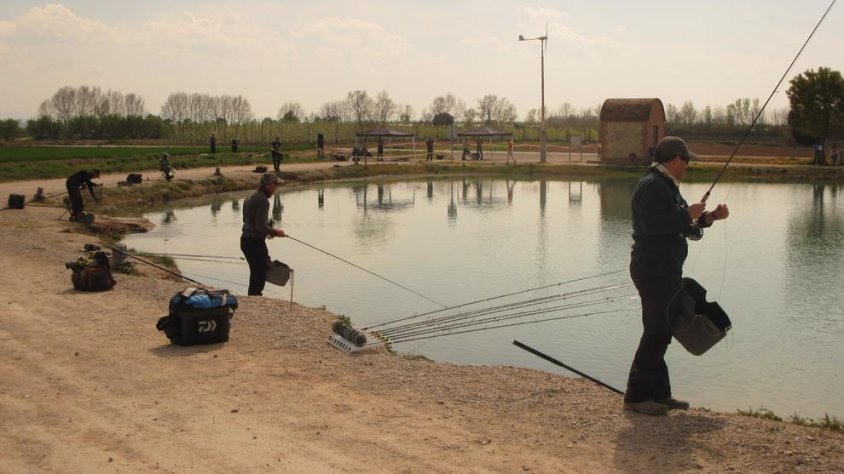 Campionat d'Espanya a Bellpuig amb 52 participants