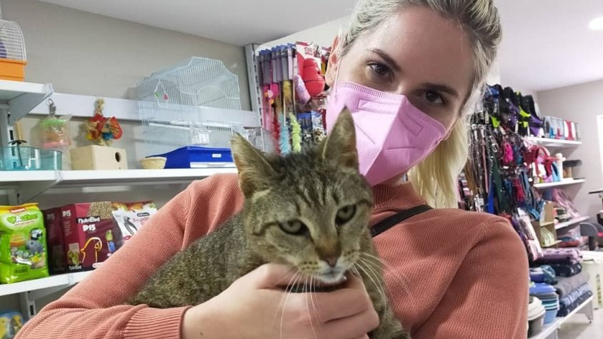 La imatge que l'entitat gestora de la gatera ha publicat avui a Instagram