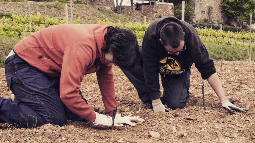 Membres de la cooperativa treballant a Collserola