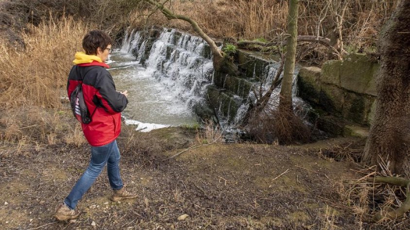 Una imatge de la Peixera d’Ossó de Sió
