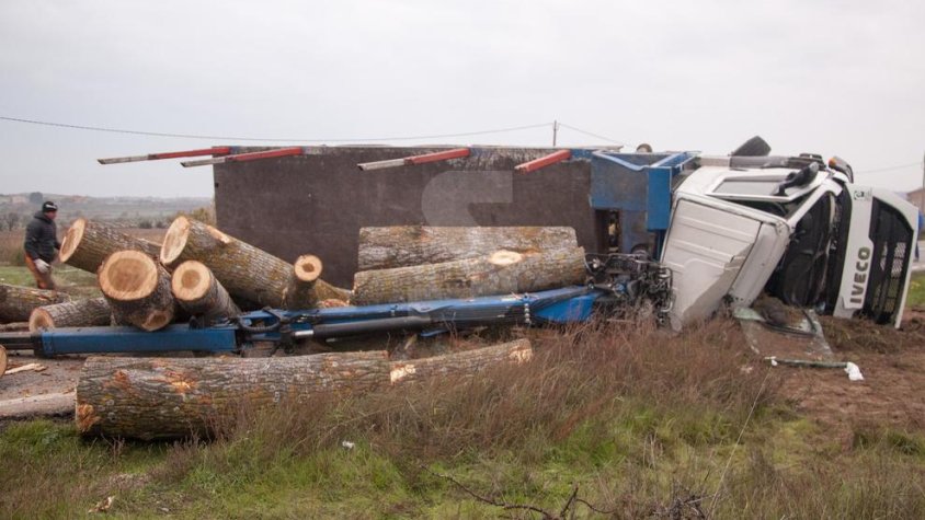 Bolca un camió amb troncs i talla la C-14 a Tàrrega