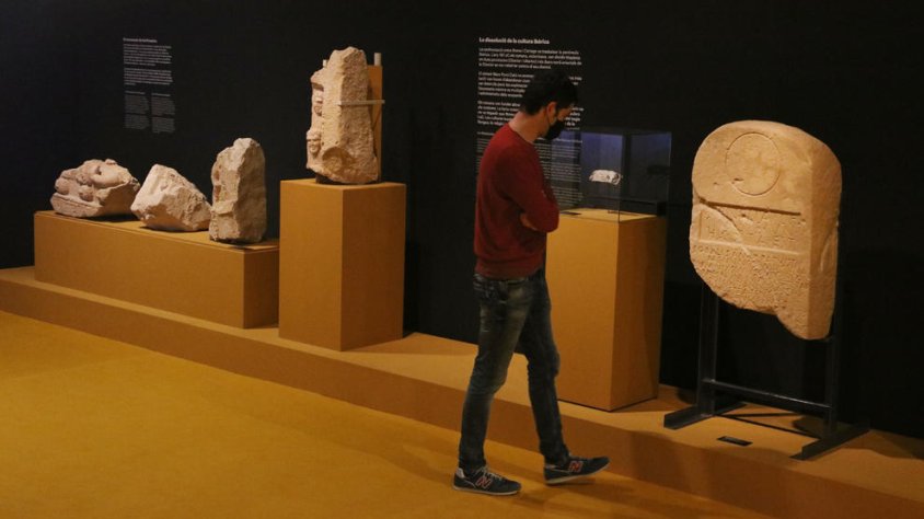 Un home observa peces exposades a la mostra