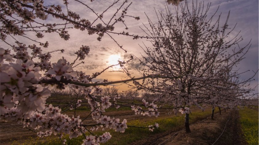 Borges reforça la seva aposta per la biodiversitat en l’entorn agrari