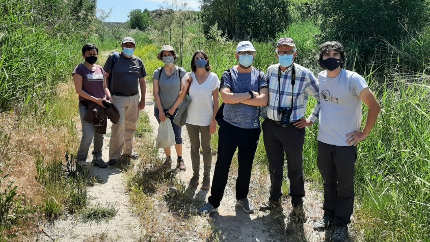 El GEMA reclama construir un col·lector que connecti les aigües residuals del Talladell a la depuradora de Tàrrega