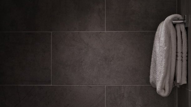 Roben en una casa de Castellnou d'Ossó quan el seu amo es dutxava