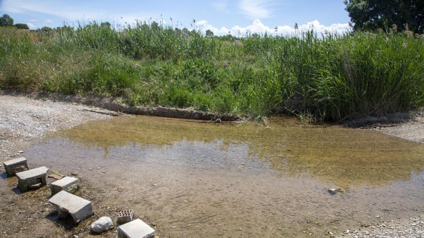 Plantegen regar de nou amb aigua del Cercavins després de més de 30 anys