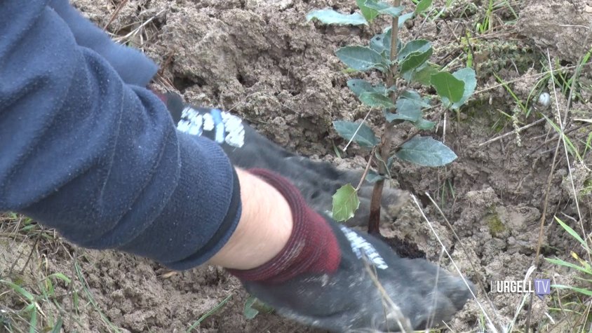 Brussel·les avala les mesures correctores del Segarra-Garrigues i tanca el procediment sancionador després de 20 anys