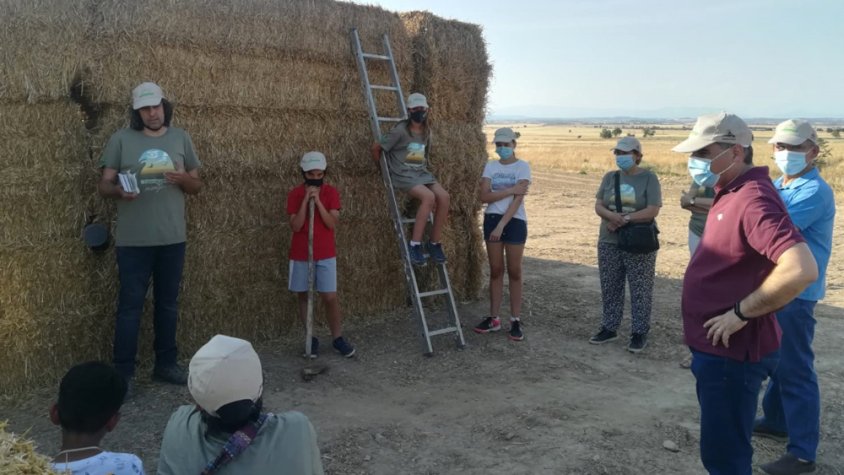 L'Associació Limonium Natura habilita un espai a la Figuerosa per afavorir la cria campestre de l'esparver cendrós
