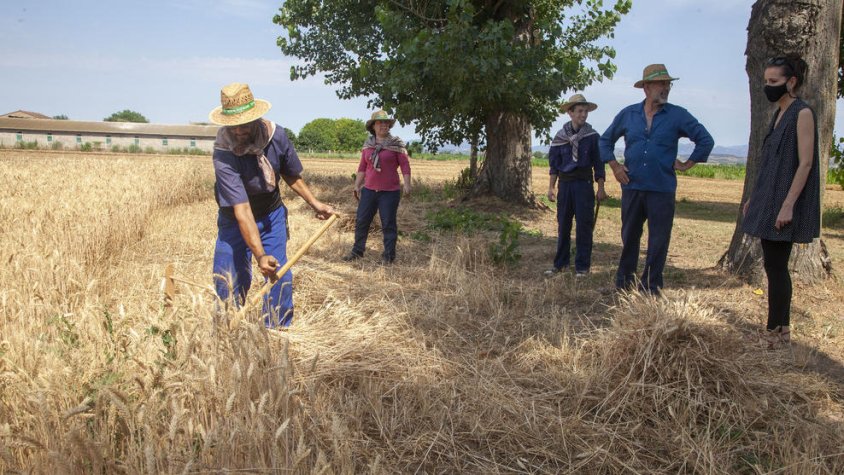 El Segar i el Batre de la Fuliola es renova