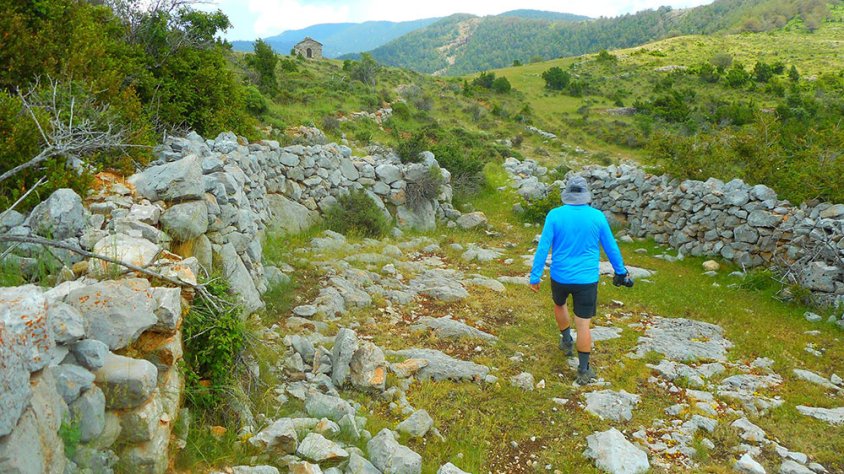 Càpsula 115. A campar!