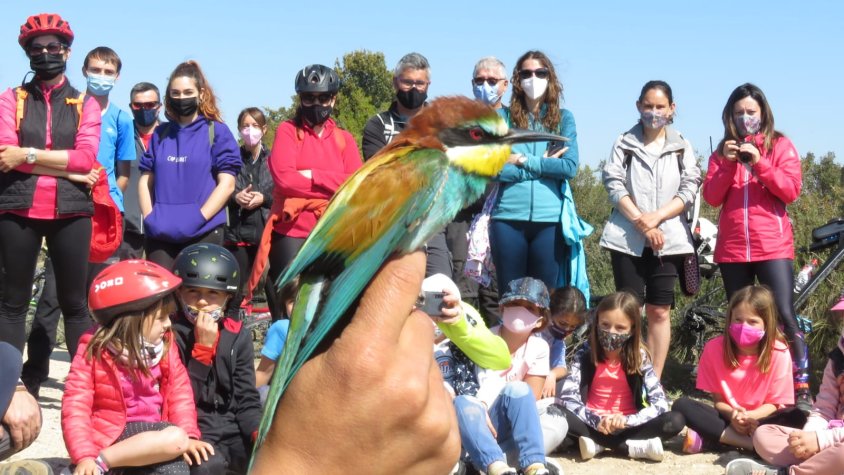 Espais Naturals de Ponent programa set activitats per aquest mes