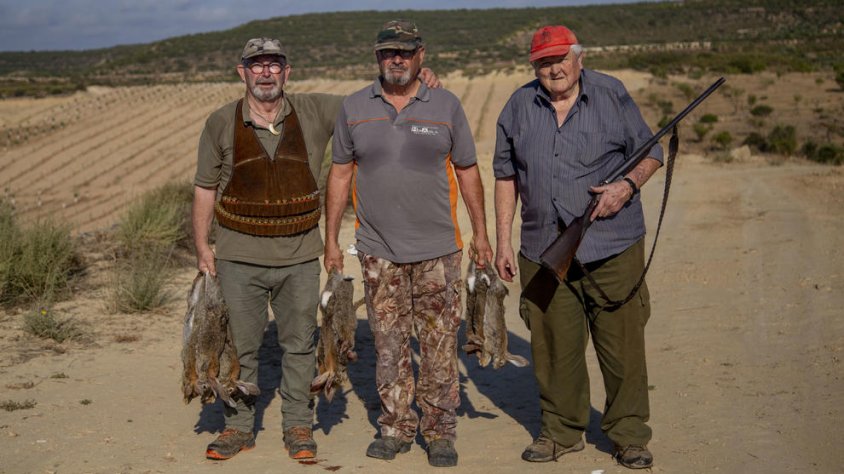 Dos mesos extra per caçar conills en sis comarques on són una plaga