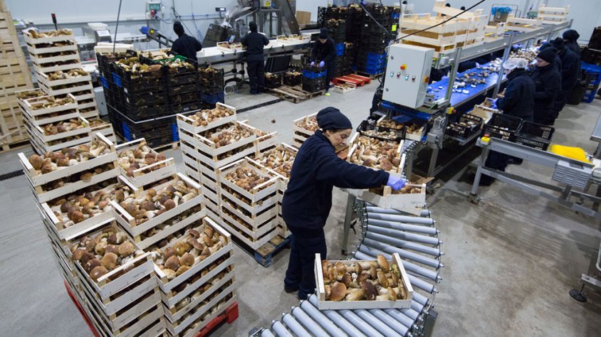 Laumont tanca l'any fiscal de la pandèmia amb una facturació de 21 milions d'euros