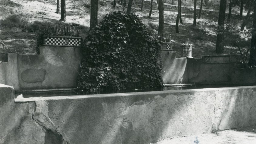 Tal dia com...  La font de la Granota