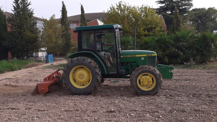 Preparant l'hort per plantar els calçots