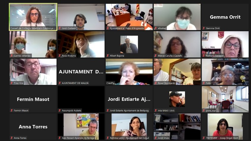 Alguns dels representants d'ens locals que han participat a la trobada telemàtica