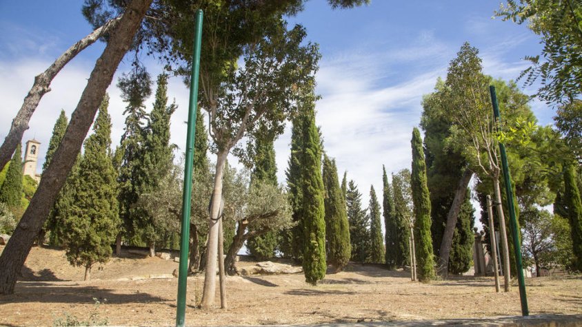 Treballs per habilitar el correcan