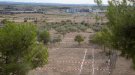 Construeixen una nova plaça al Parc de Sant Eloi de Tàrrega