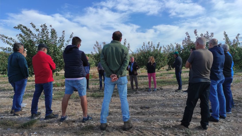 El Projecte Pistatxo BAIN ha arribat a les 314 Has i 47 productors adherits
