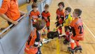 Cròniques dels partits de Hoquei Patins Tàrrega