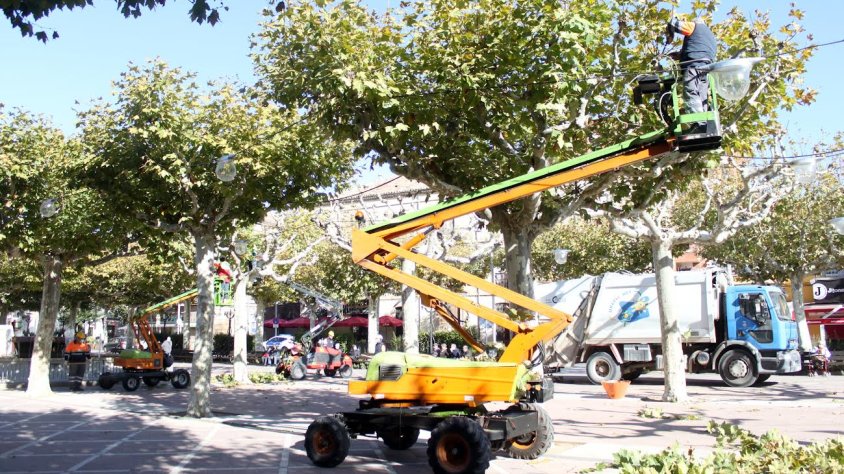 Tasques d'esporga a la plaça del Carme