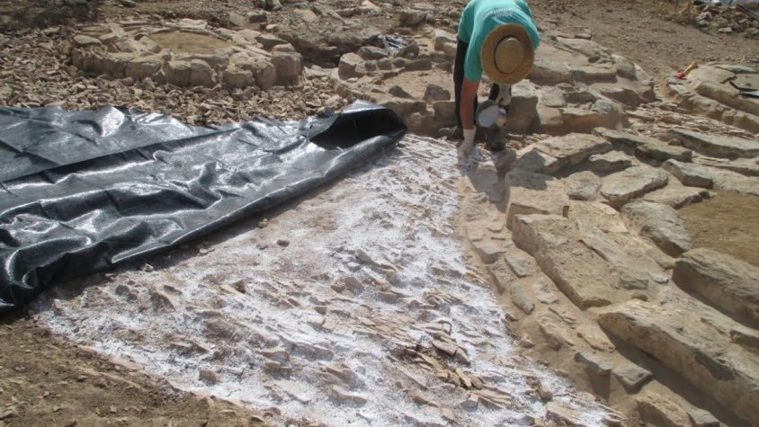 Imatge dels treballs