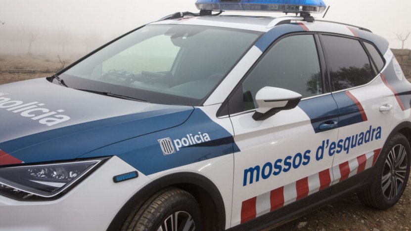 Els van aturar en un control a Granyanella.