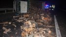 Tallada tres hores l'autovia a Bellpuig en bolcar una camioneta carregada de llenya