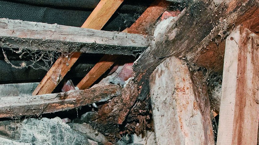 Detall del mal estat del teulat sobre el presbiteri de la Parroquial